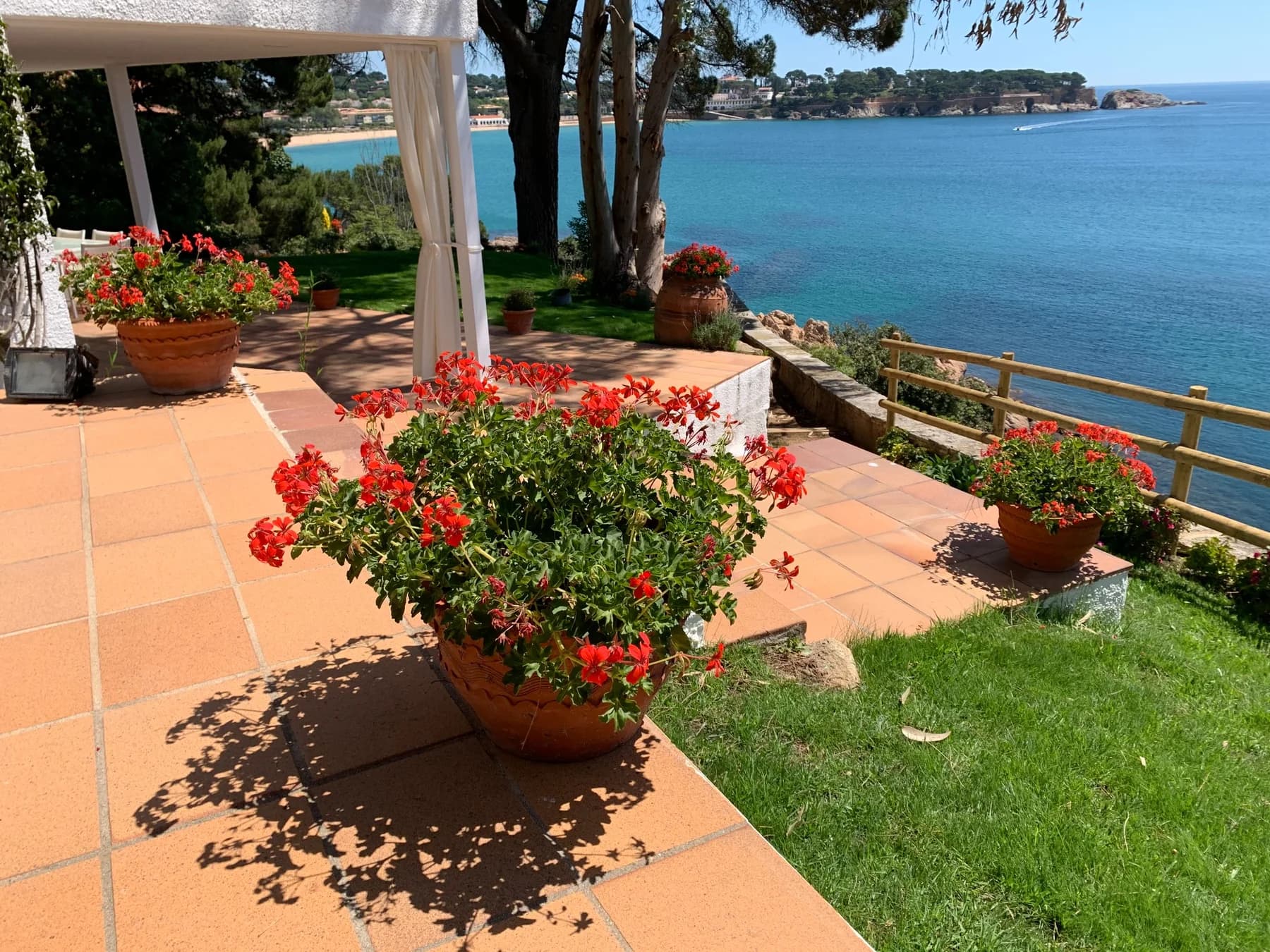 Terraza residencial con cesped, mesa, sillas, sombrilla y flores amarillas