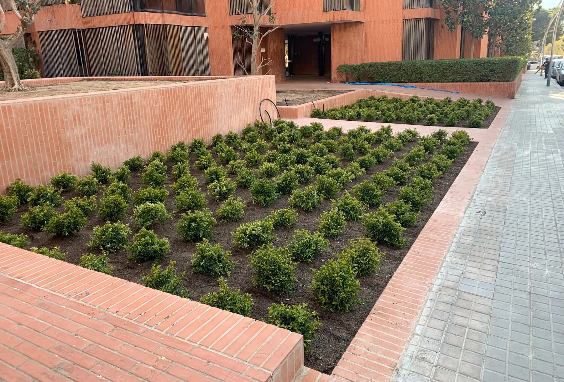 Parterre comunitario terminado con plantación ordenada