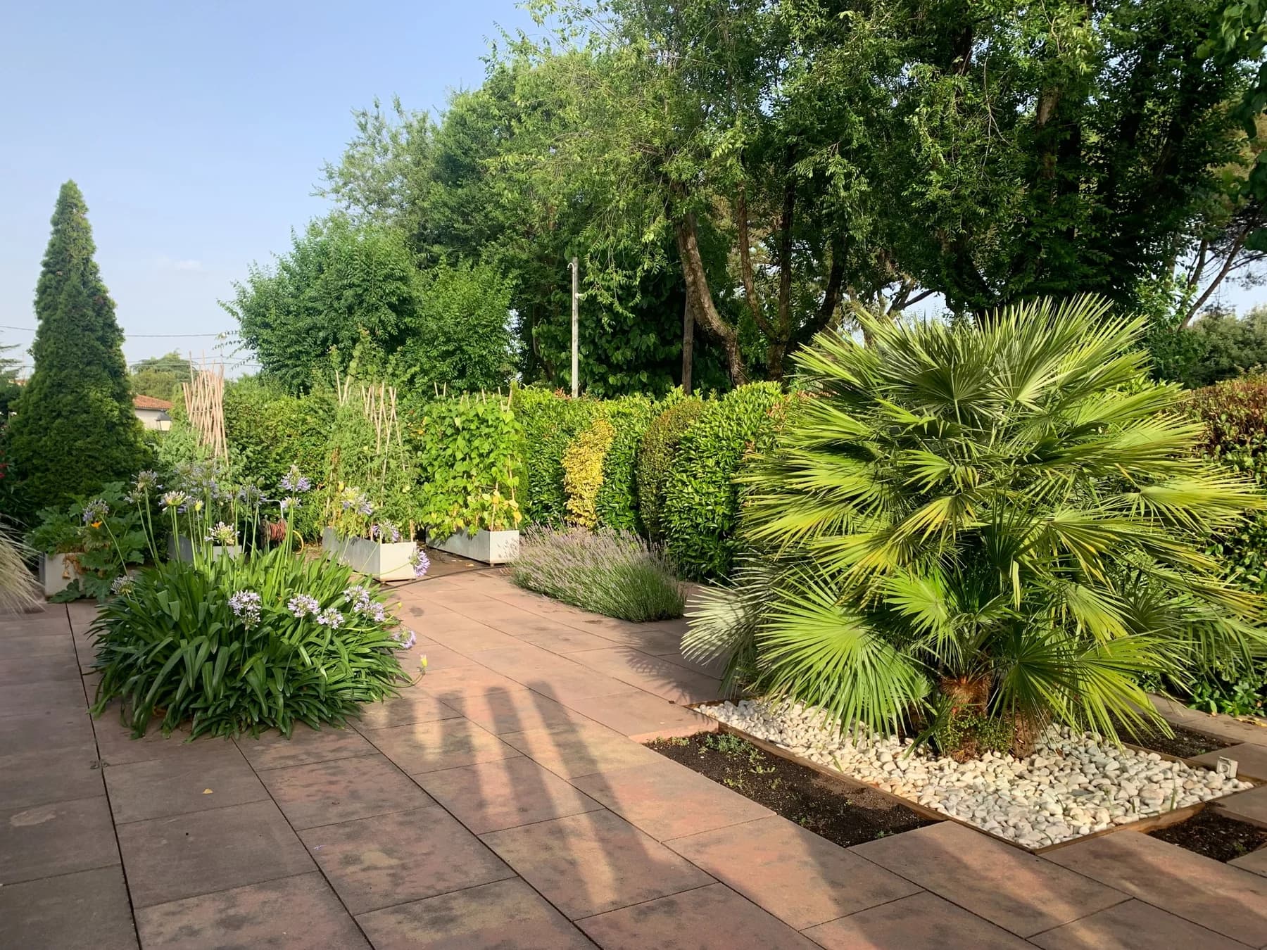 Diseño de jardín mediterráneo con palmeras y especies de distintos volúmenes