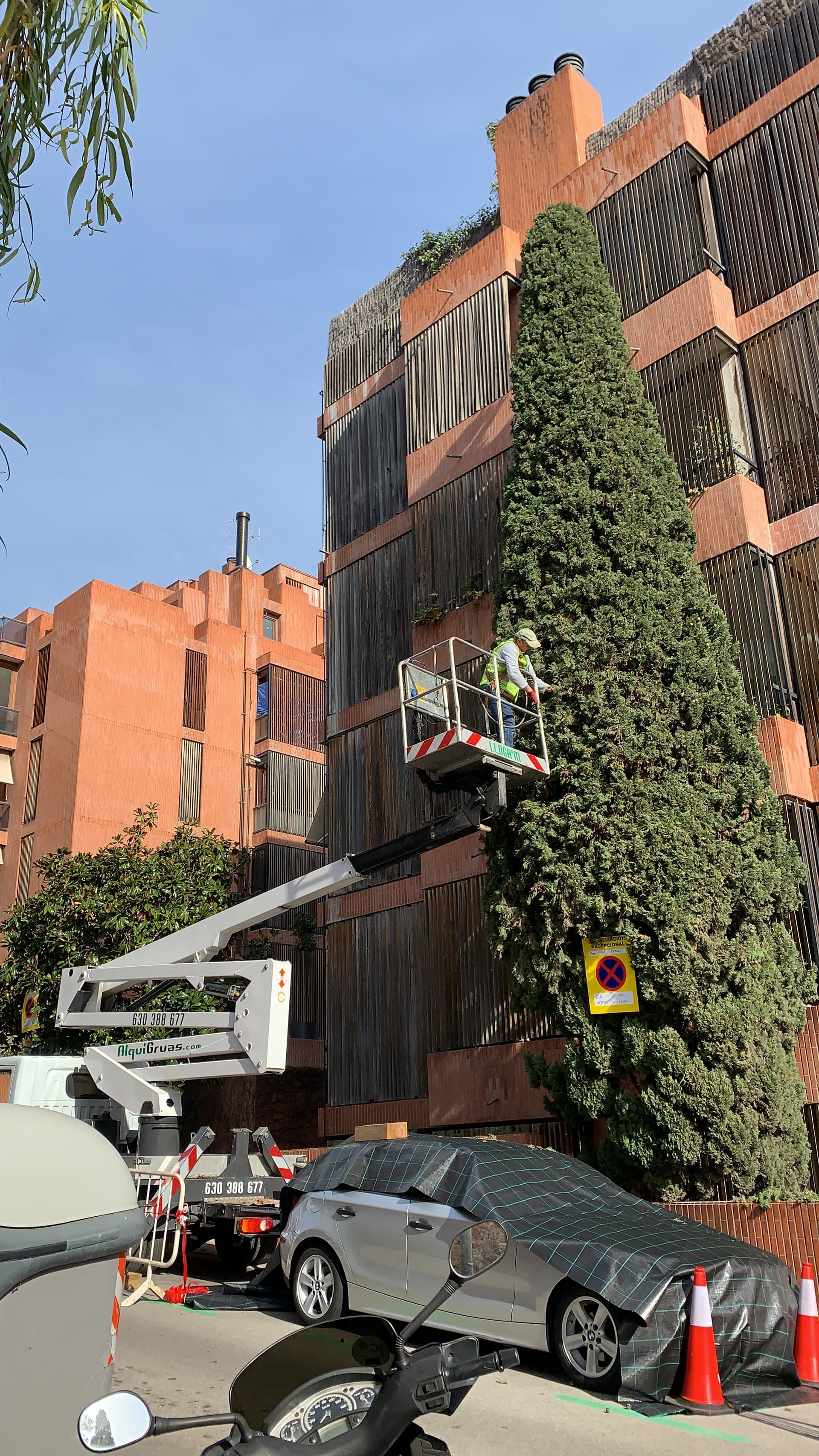 Foto para podas en altura con cesta elevadora