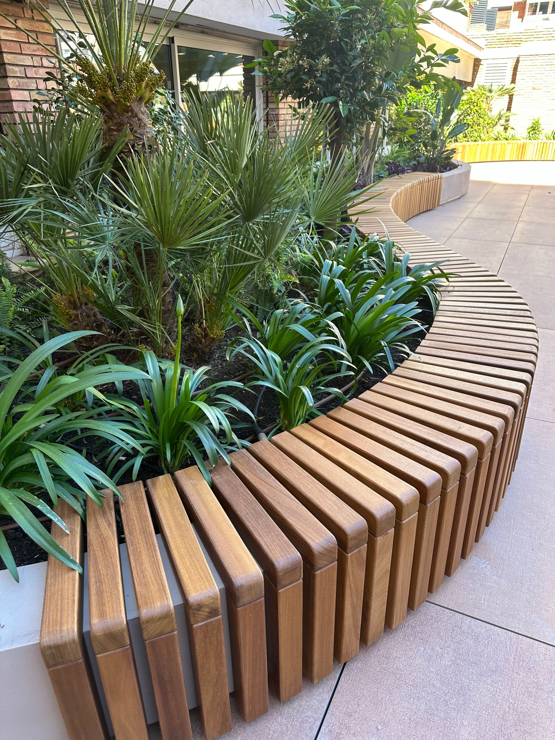 Diseño de jardinera curva con composición de palmeras y vegetación ornamental