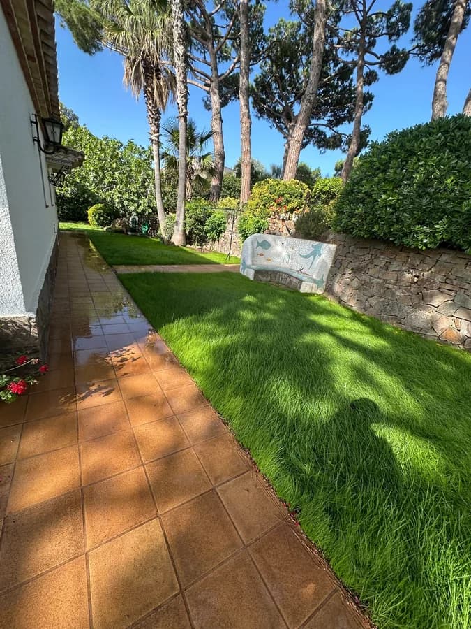 Césped regado y zonas verdes de un jardín residencial